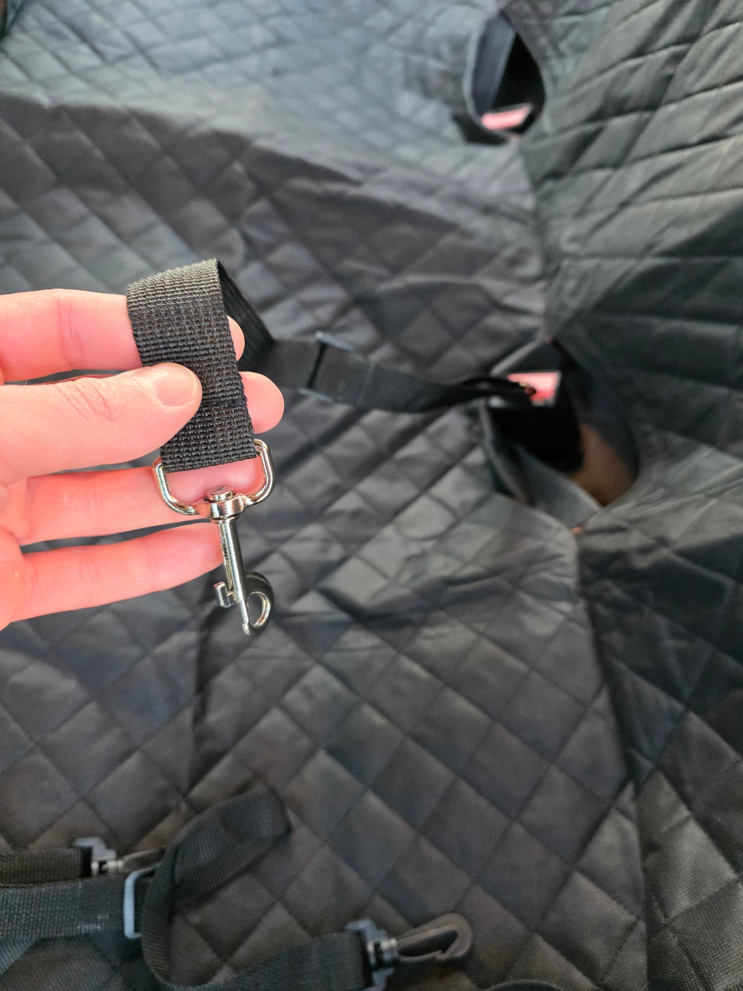 Mata Ochronna SafePaws Premium (Wodoodporna + Siatka)